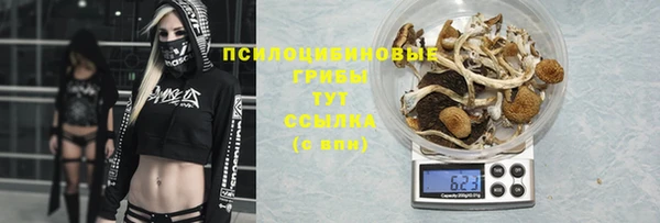 a pvp Няндома