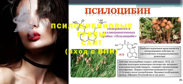 ECSTASY Нязепетровск