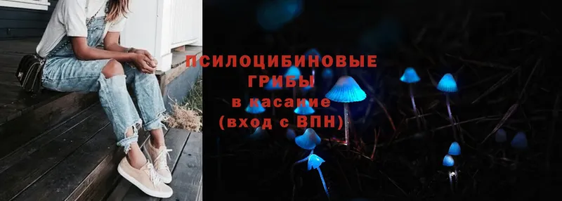 Галлюциногенные грибы MAGIC MUSHROOMS  Спасск-Рязанский 