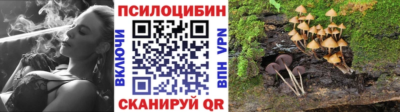 что такое   Спасск-Рязанский  Псилоцибиновые грибы прущие грибы 